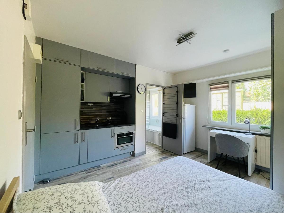 Dnn - Stylish Studio - Free Wifi, Netflix And Parking - Min Away To Basel And Airport - Dishwasher, Washing Machine Saint-Louis  Esterno foto